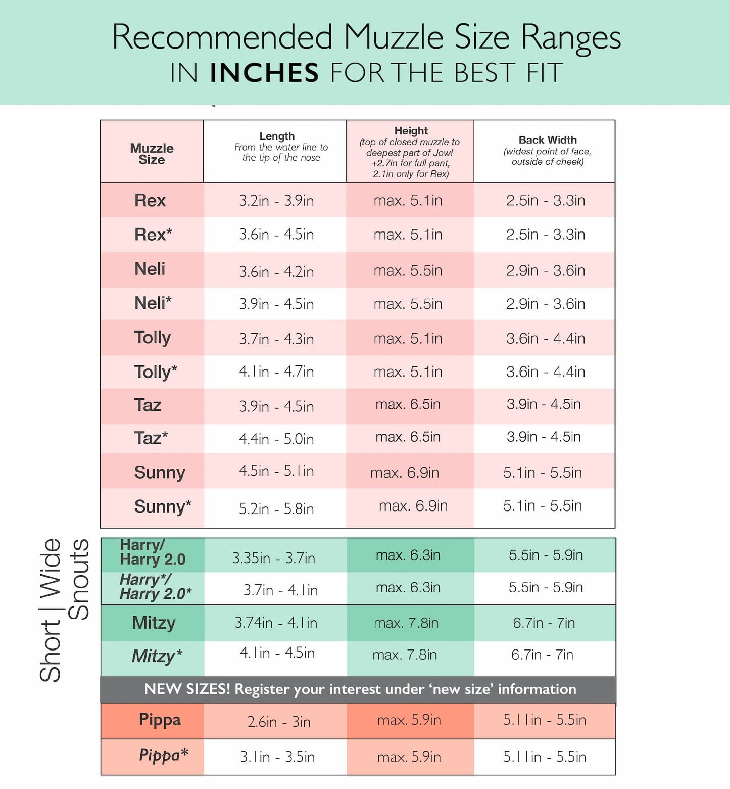Muselière modèle Pippa
