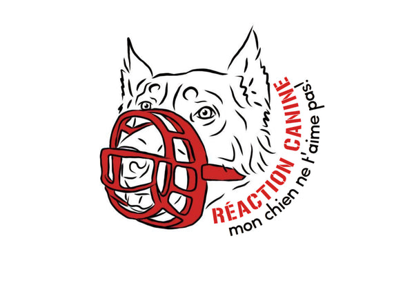 Réaction Canine