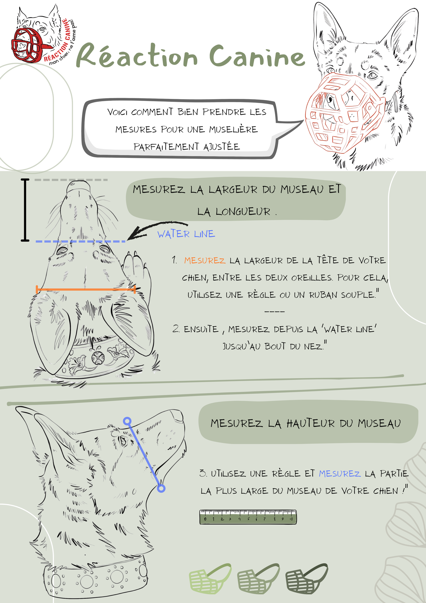 Muselière modèle Mitzy