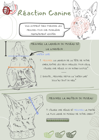 Muselière modèle Mitzy