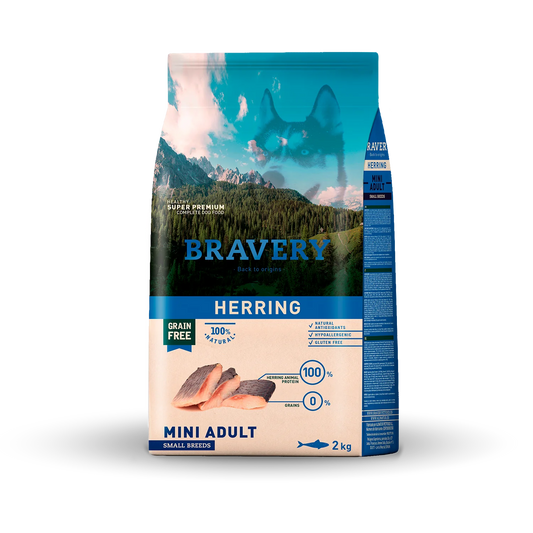 BRAVERY Hareng - Chien adulte (petites races)