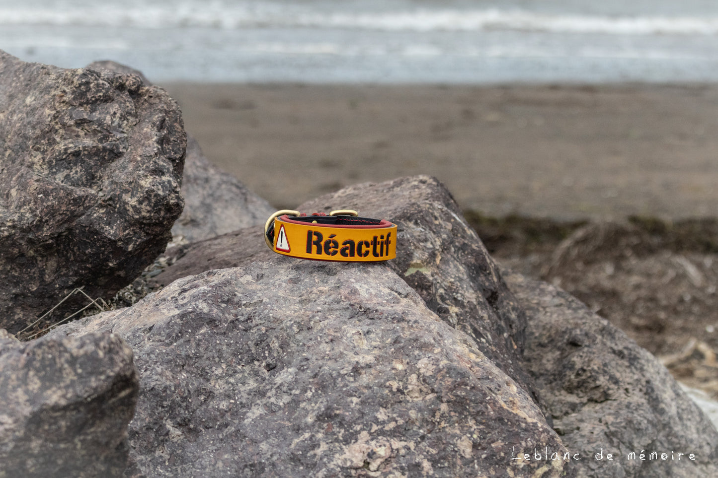 Collier à panneau en cuir 1.5''