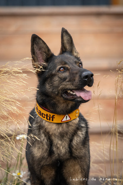 Collier à panneau en cuir 1.5''