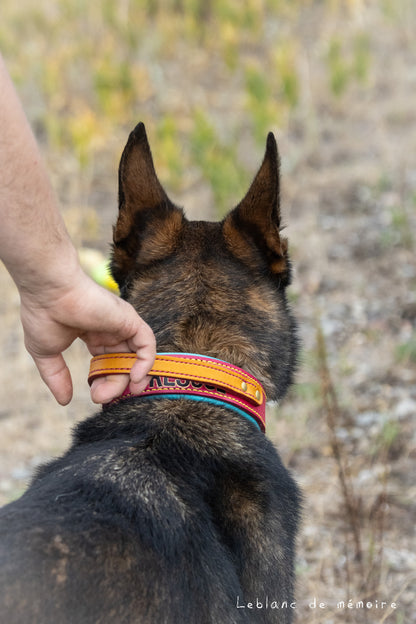 Collier matelassé avec poignée en cuir 1.5''
