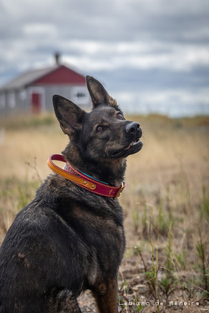 Collier matelassé avec poignée en cuir 1.5''