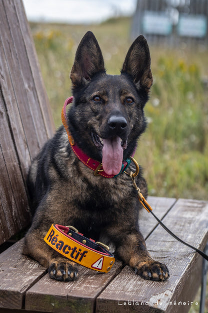 Collier matelassé à panneau en cuir 1.5''