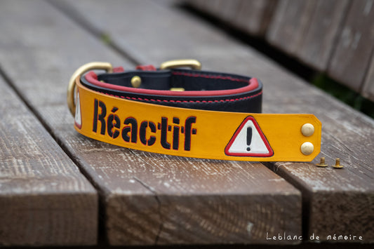 Panneau Réactif pour collier en cuir 1.5''