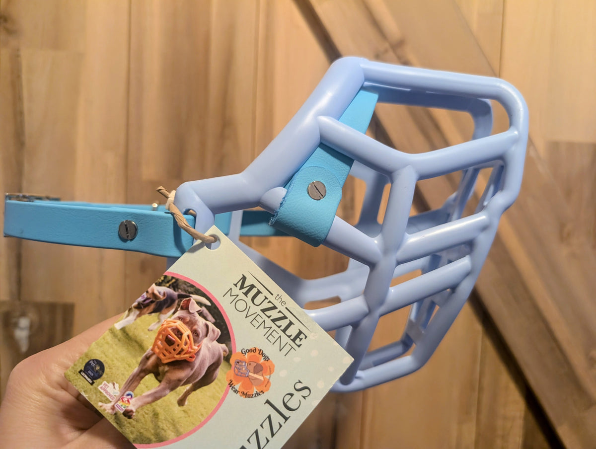 Muselière modèle Rex bleu