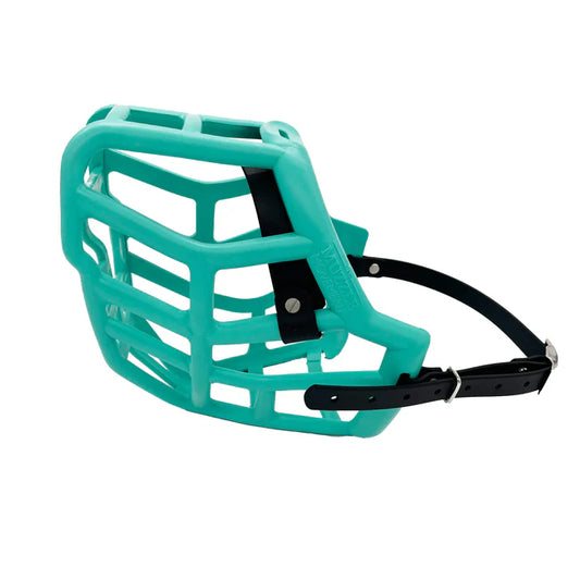 Muselière modèle Sunny sarcelle