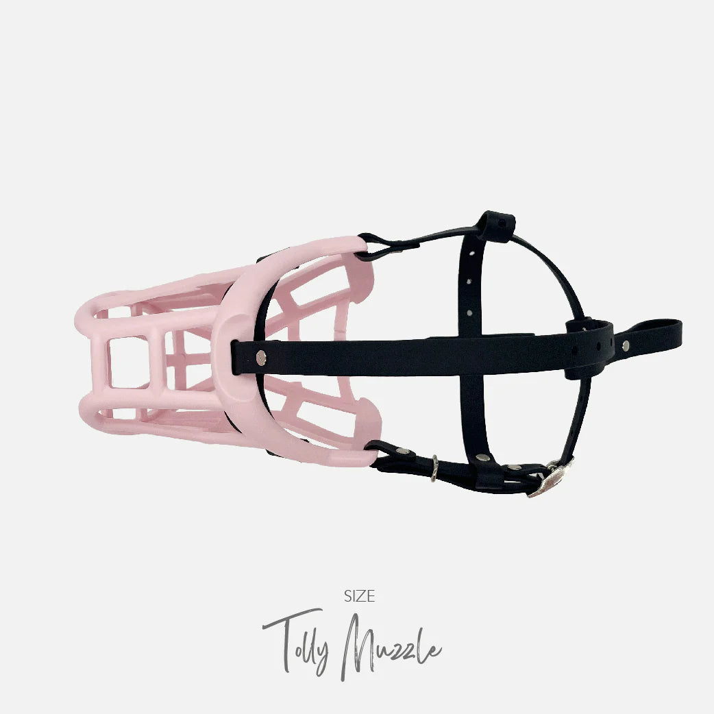 Muselière modèle Tolly