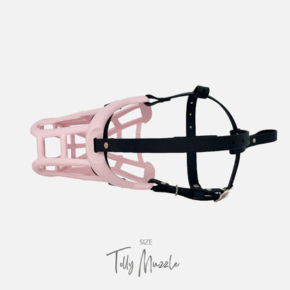 Muselière modèle Tolly