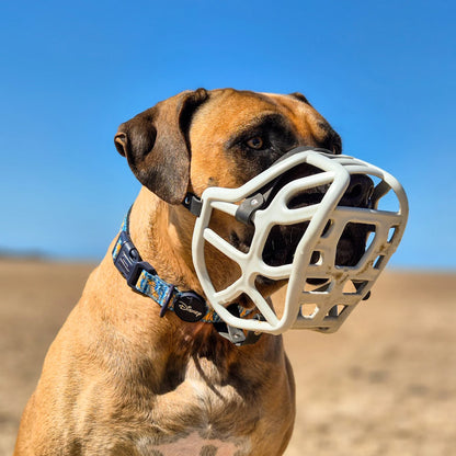 Muselière modèle Harry 2.0 kaki