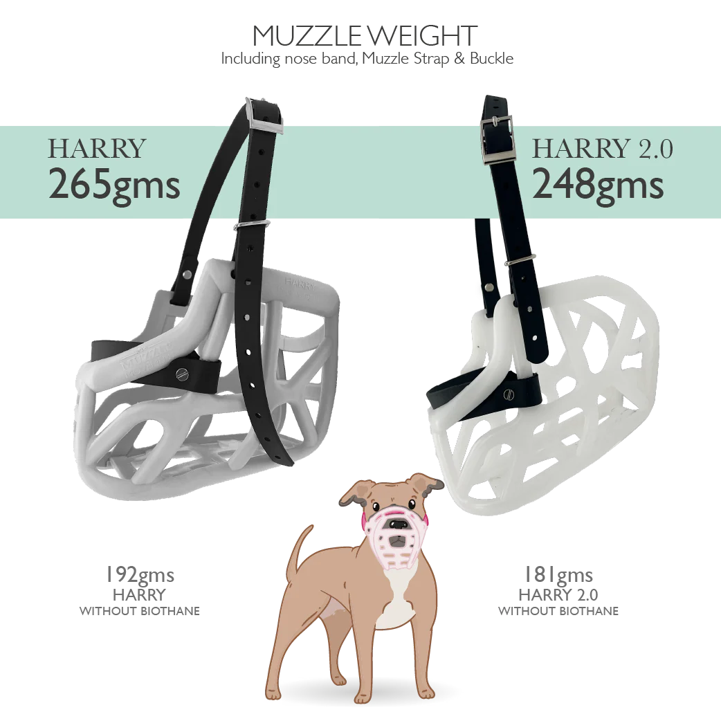 Muselière modèle Harry 2.0