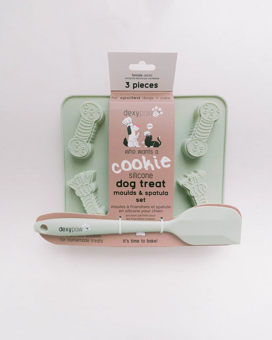 Ensemble 2 moules & spatule