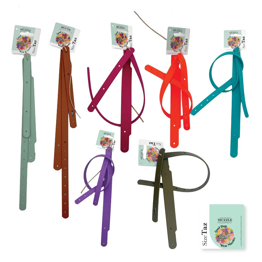 Sangle de couleur Taz* tan