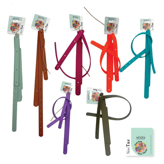Sangle de couleur Tolly sauge