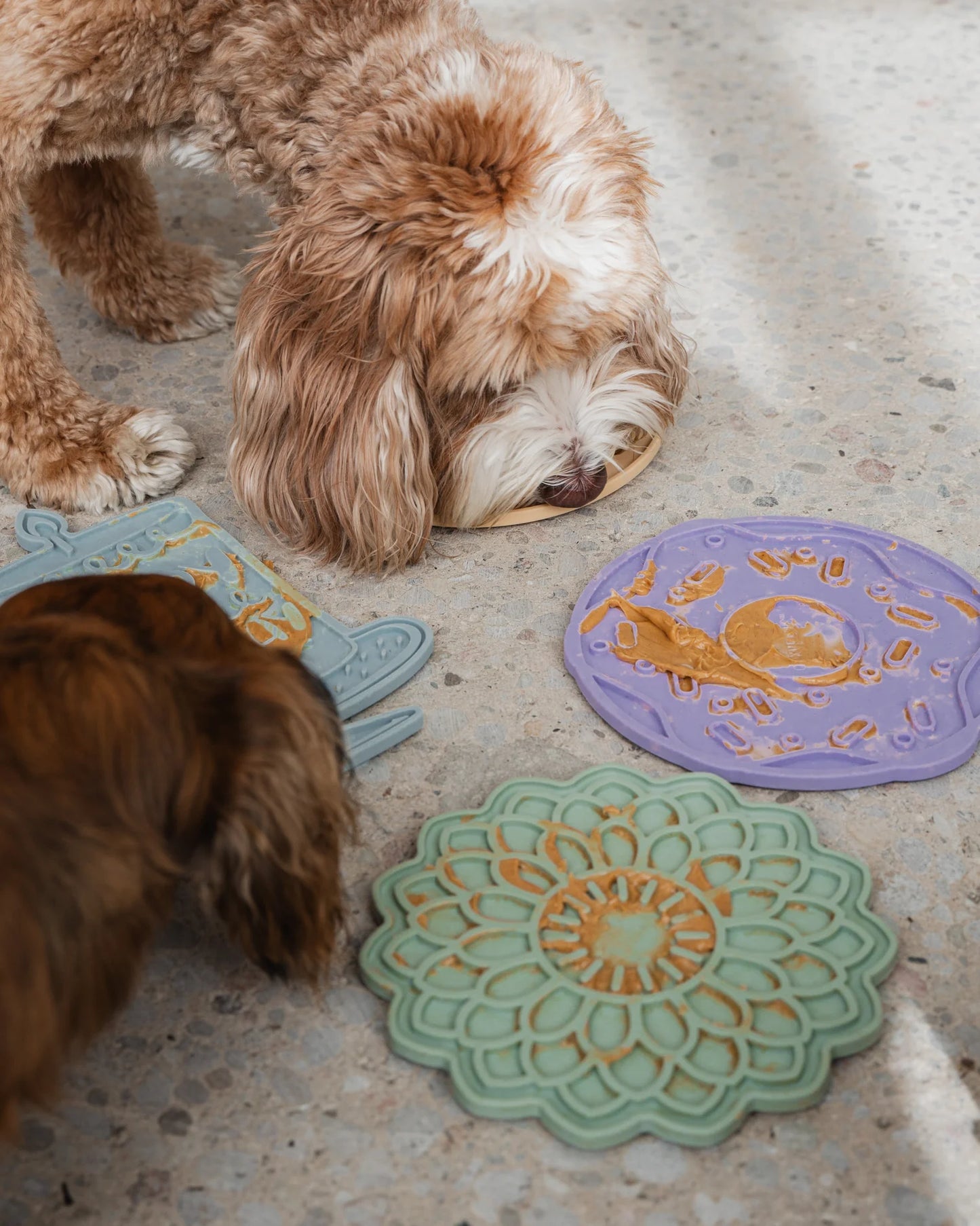 Tapis à lécher fleur verte